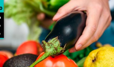 Manipulador de alimentos PV